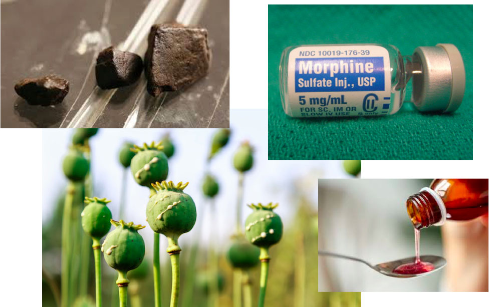Examples of opioids, including heroin, morphine, opium poppies, and cough syrup
