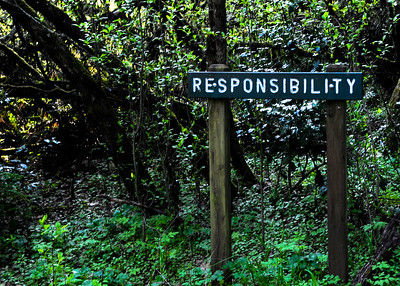 A wooded, overgrown road with a wooden sign reading "responsbility"